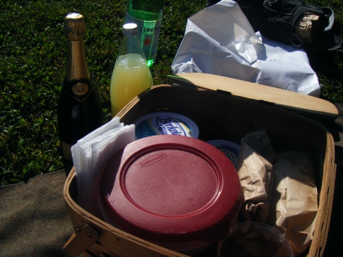 picnic-021